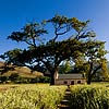 Franschhoek Sud Africa Alberghi