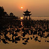 Hangzhou China Hotels