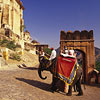 Jaipur Jaipur