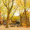 Delft Netherlands Hotels