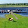 Shannon Ireland Hotels