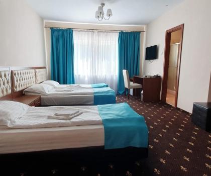 Hostel Paltinis, Хунеадора