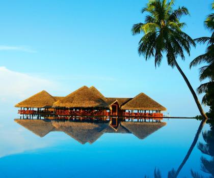 Medhufushi Island Resort, Мафури
