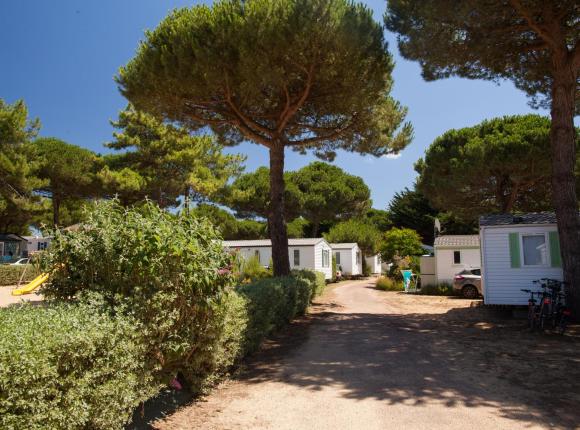 Camping Le Suroit, Ре