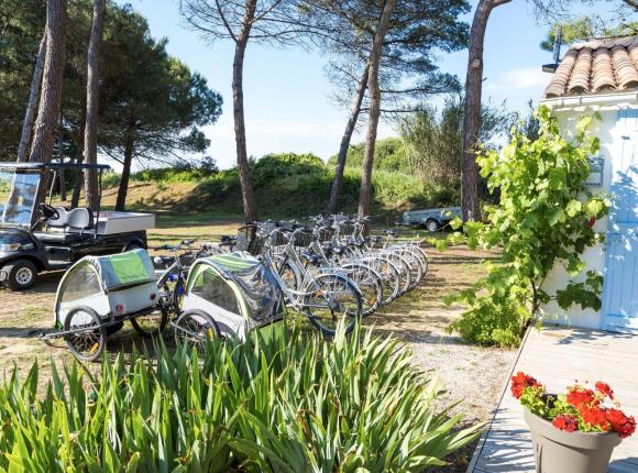 Domaine Résidentiel de Plein-Air Les Tamarins, Ре