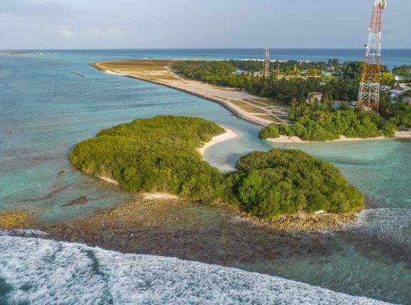 Reef Edge