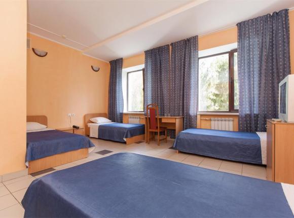 Отель Регина Петровский