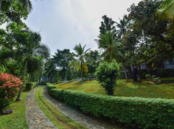 Romaya Villa