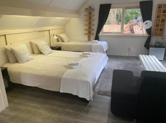 Hotel 1900, Берген (Северная Голландия)