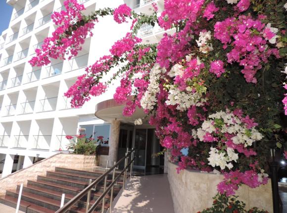 Corfu Hotel, Айя-Напа