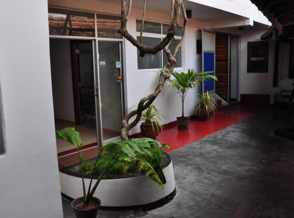 SurfCity Guesthouse