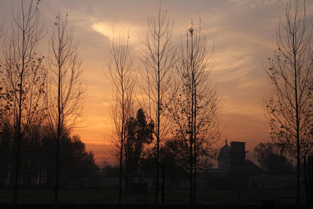 Двухместный (Двухместный номер Делюкс с 1 кроватью), Farmers Villa