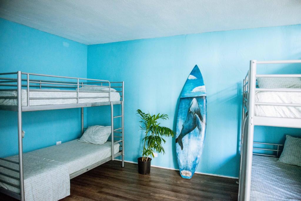 Номер (Односпальная кровать в общем номере для мужчин и женщин), Polynesian Hostel Beach Club