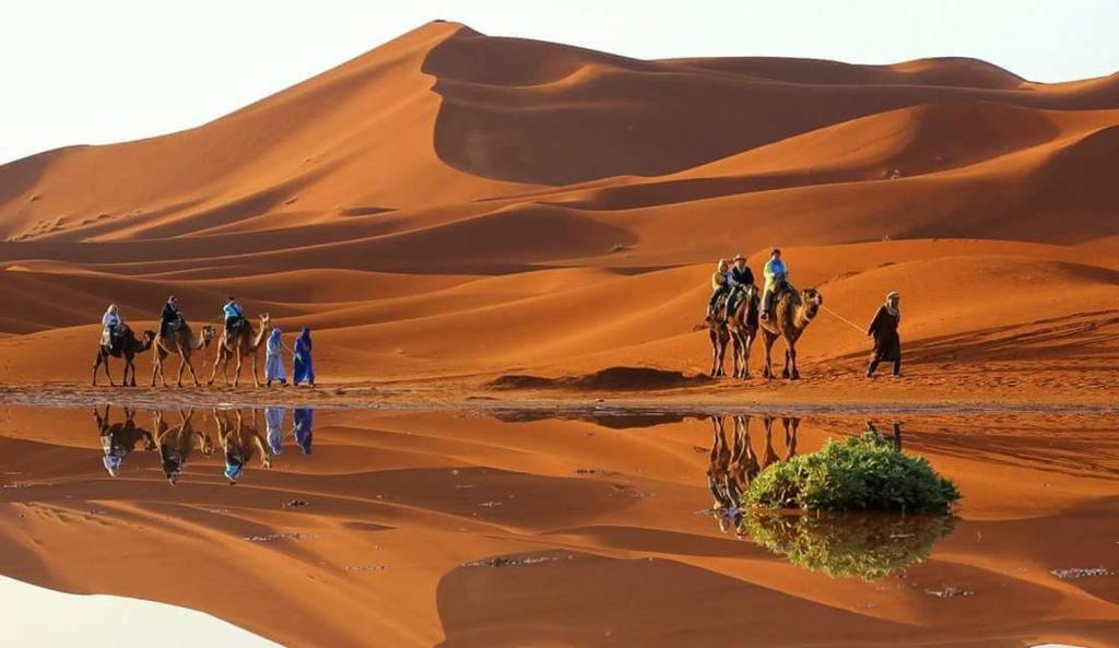 Sahara Morocco Luxury Camp, Мерзуга