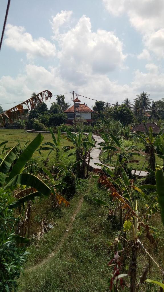 Двухместный (Стандартный двухместный номер с 2 отдельными кроватями), Kubu Loris Residence