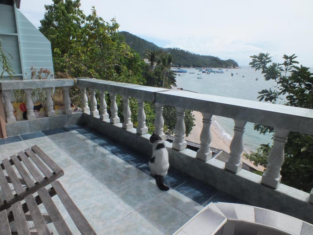 Queen Resort Koh Tao, Ко Тао