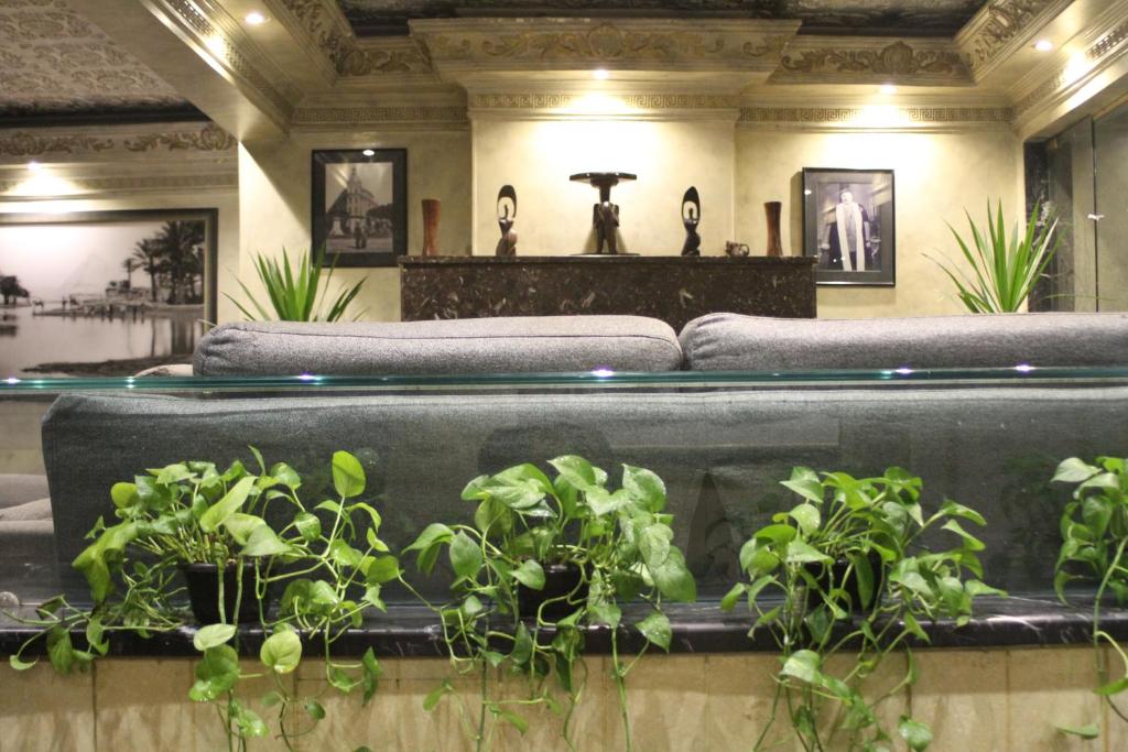 New Garden Palace Hotel, Каир