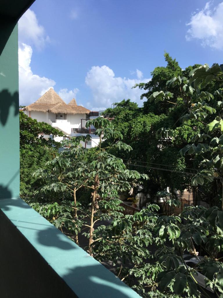 Апартаменты (Апартаменты Делюкс), Condo Playatour