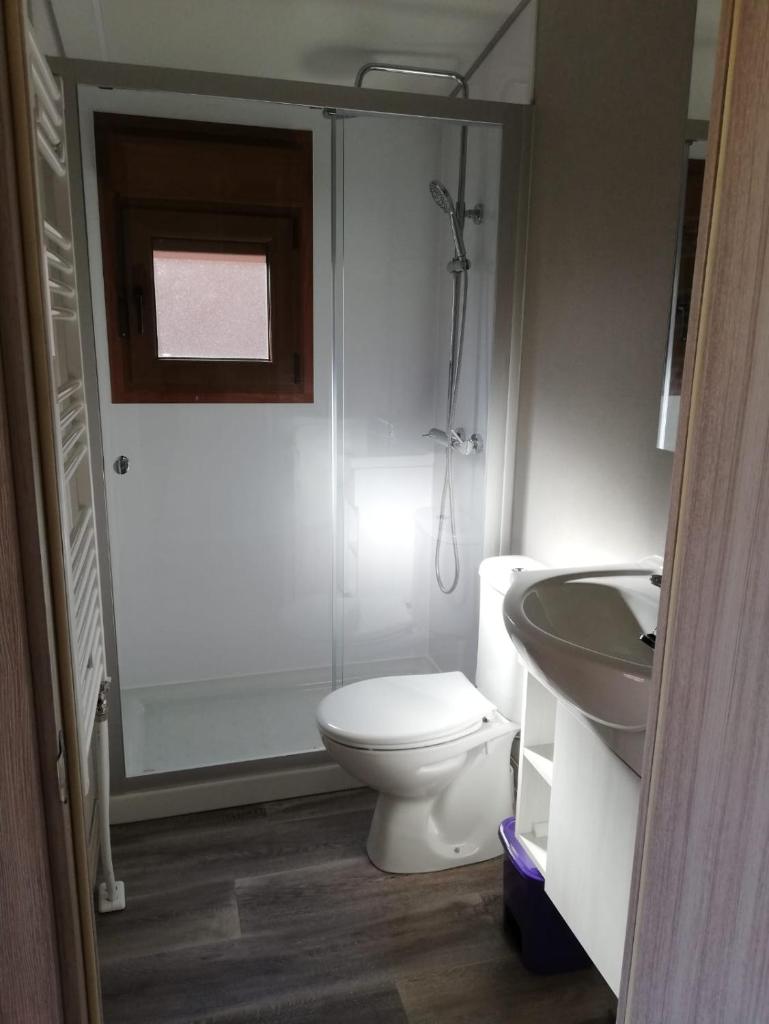 Номер (Бунгало), Camping Panticosa