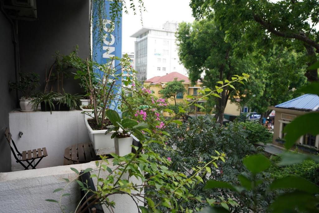 Апартаменты (Апартаменты с балконом), Elegant Studio Yet Kieu