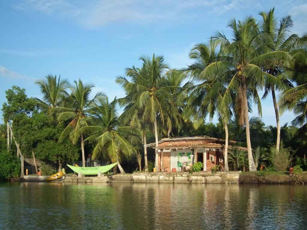 Coconut Island, Тангалла