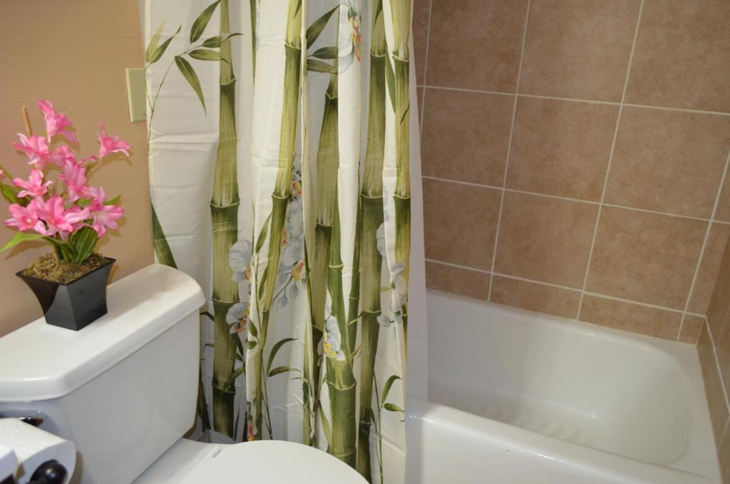 Двухместный (Номер с кроватью размера «queen-size»), Waikiki Condo Just Remodeled Kuhio Village 202A