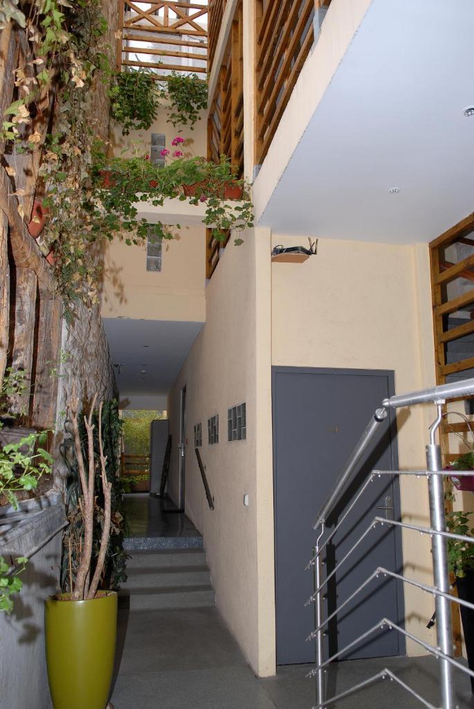 L'Oasis, Париж