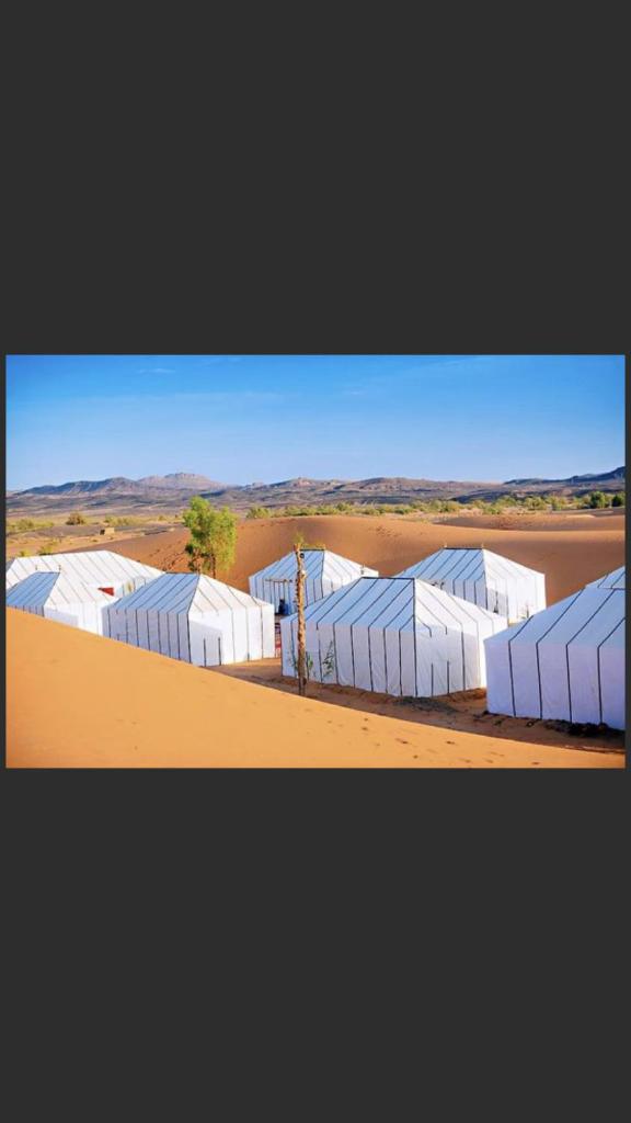 Luxury Camp Berber Experience, Мерзуга