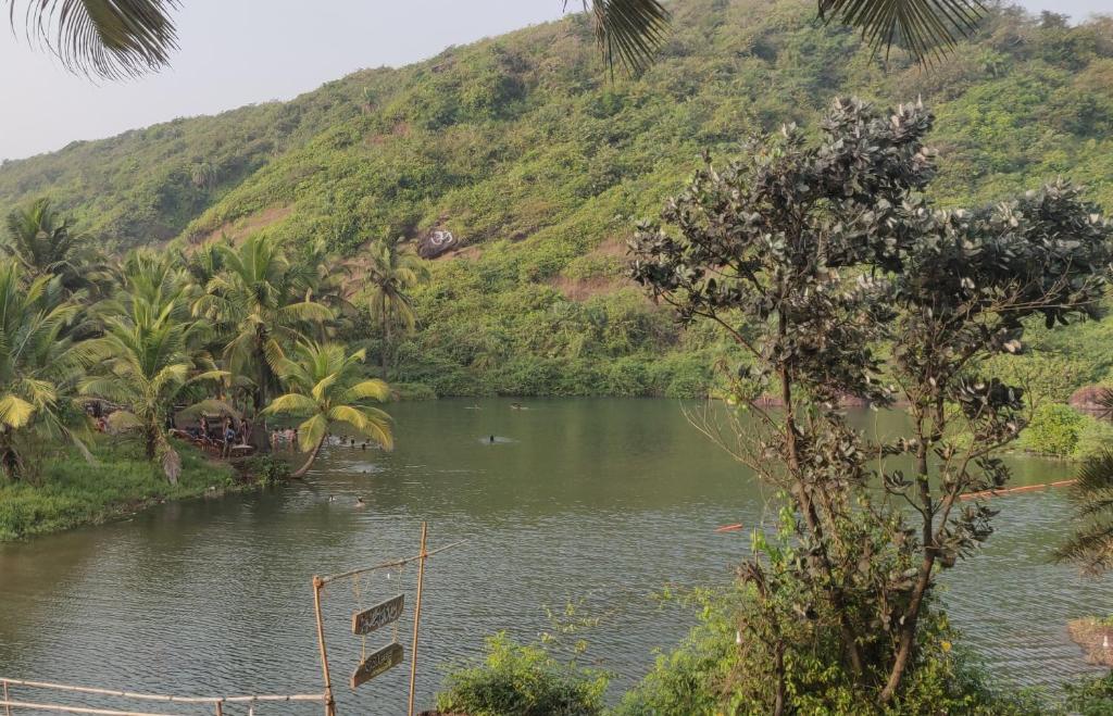 Shiva Huts, Арамболь