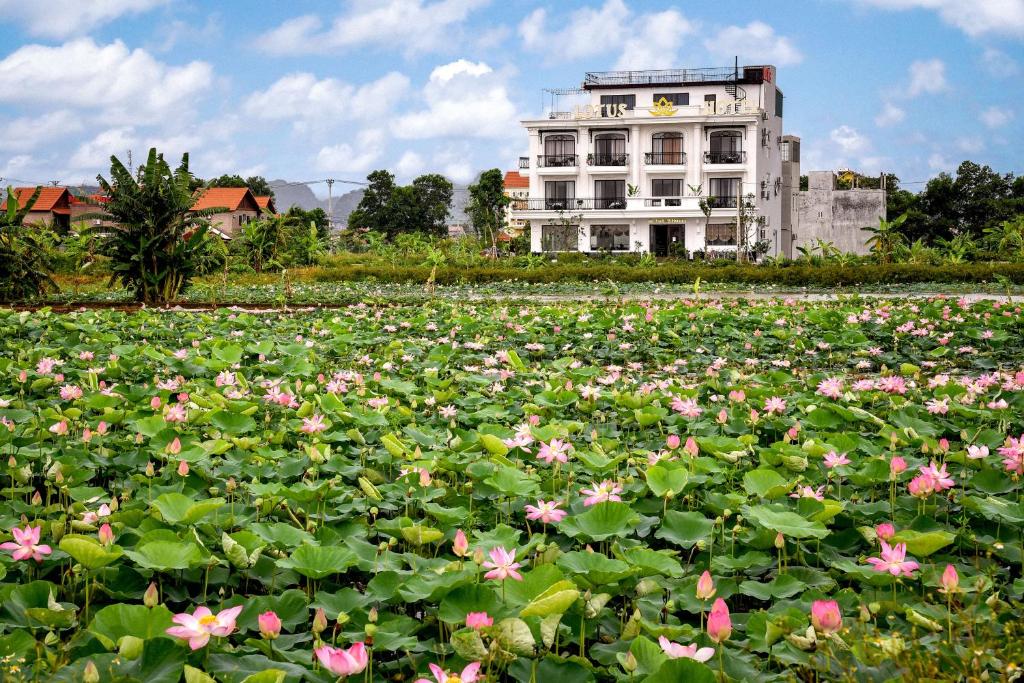Lotus Hotel Ninh Bình, Ниньбинь