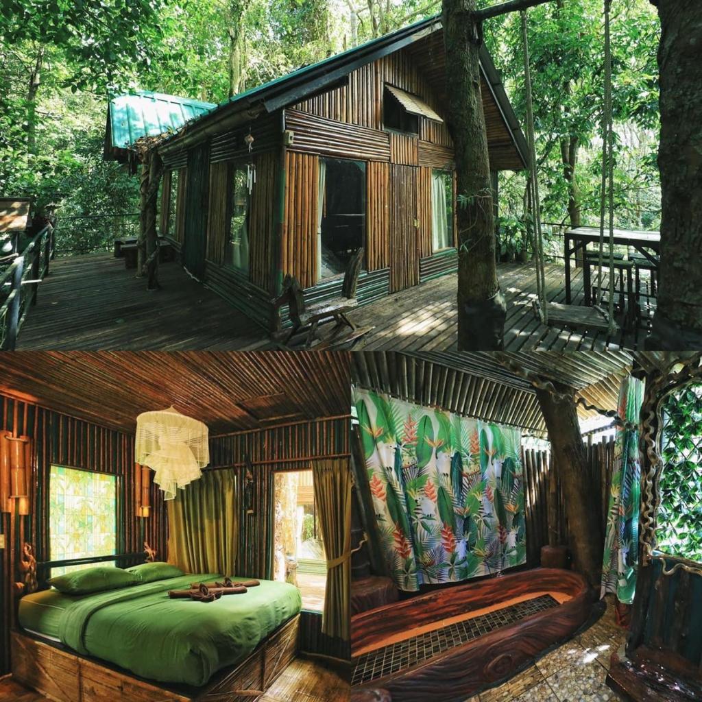 Khaosok Treehouse Resort, Сураттхани
