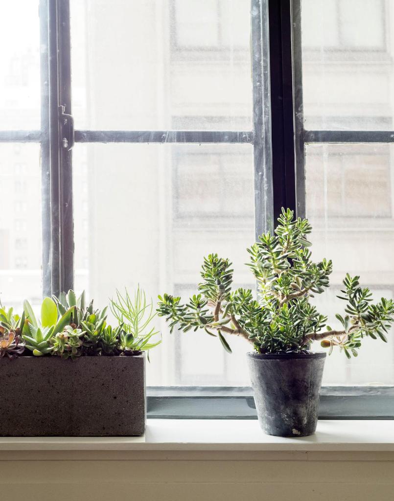 Четырехместный (Президентские апартаменты с 2 спальнями), ROOST Midtown