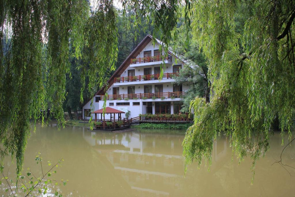 Guest house Lacul Linistit, Аришени