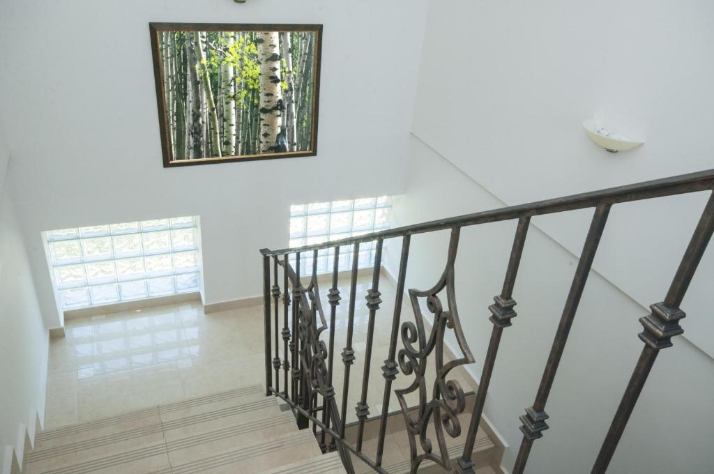 Pensiunea Muntele Verde, Синая