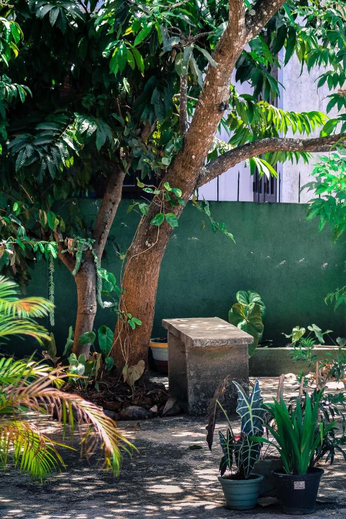 Mountain View with a terrace, Канди