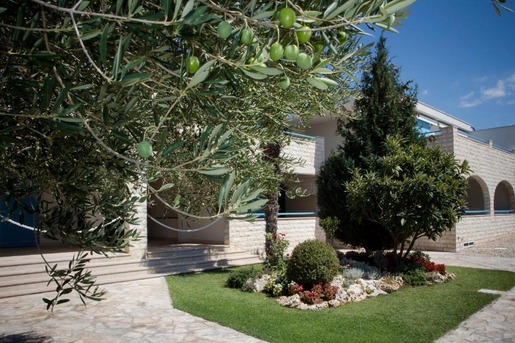 Apartments Villa Pina, Водице