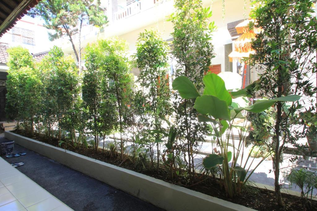 Двухместный (Улучшенный двухместный номер с 2 отдельными кроватями), Kuta Bagus View