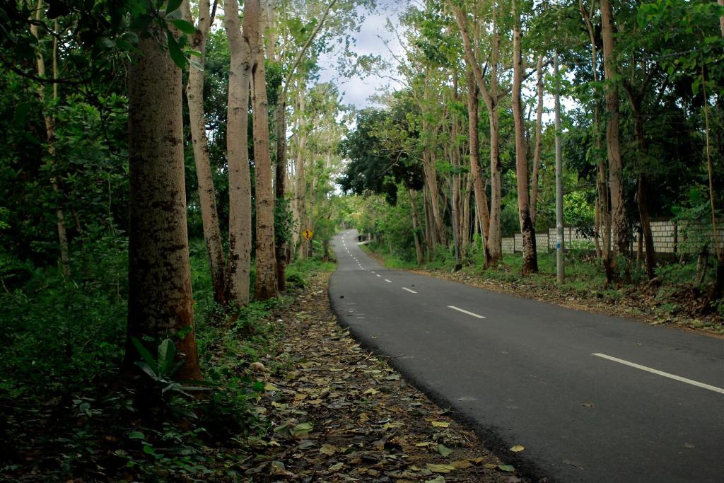 Вилла (Вилла с 1 спальней), The Wyn Villa