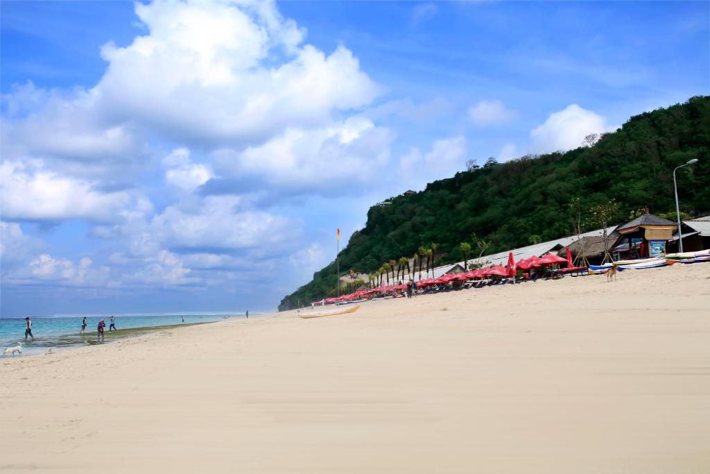 Вилла (Стандартная вилла), The Wyn Villa