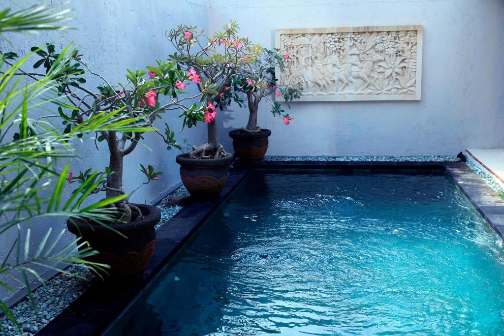 Вилла (Вилла с 1 спальней), The Wyn Villa