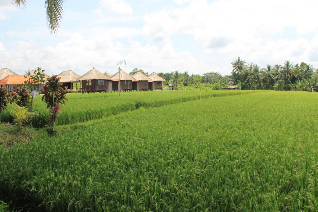 Taman Bintang Villa Ubud, Убуд