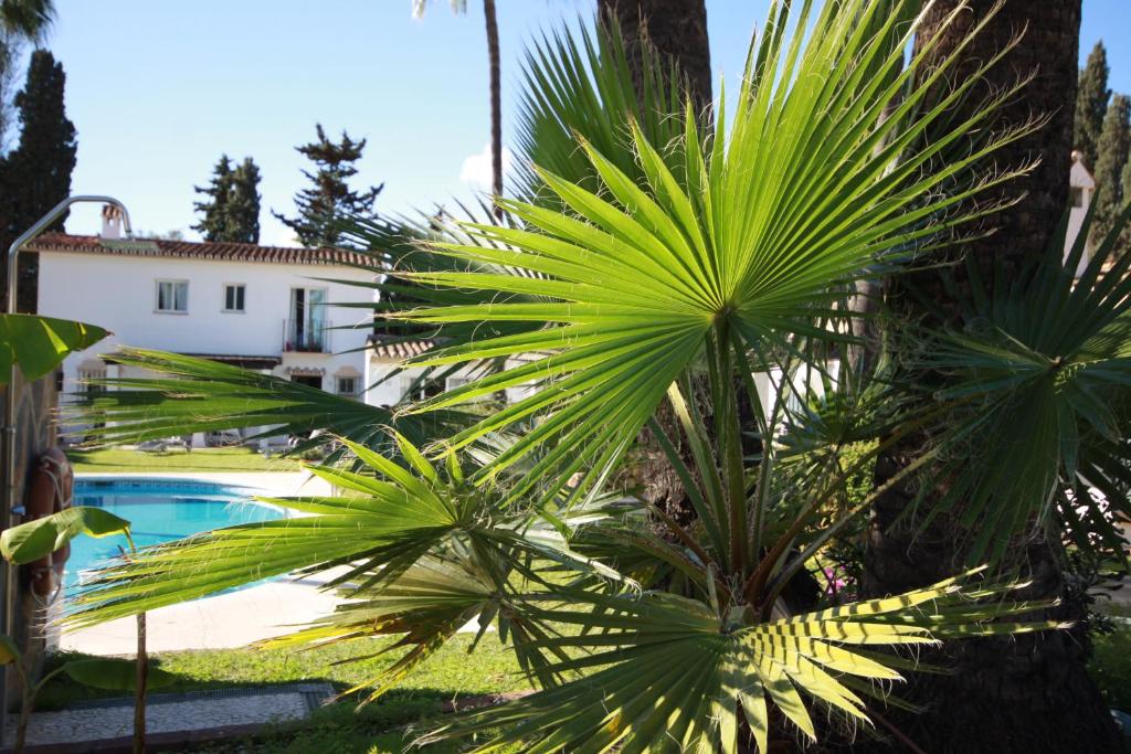 Banus Lodge, Марбелья