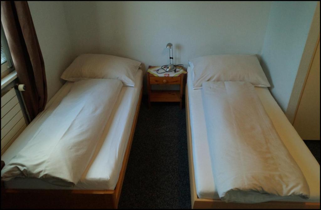 Двухместный (Двухместный номер с 2 отдельными кроватями и душем) отеля Gasthof Kastanienbaum, Арау