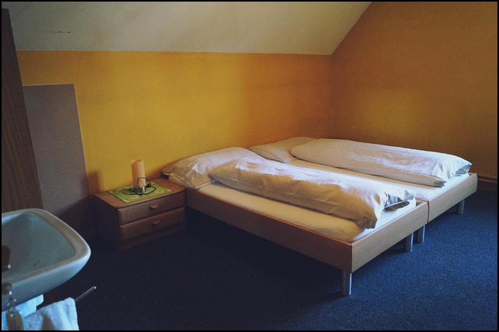 Двухместный (Двухместный номер с 2 отдельными кроватями и общей ванной комнатой) отеля Gasthof Kastanienbaum, Арау