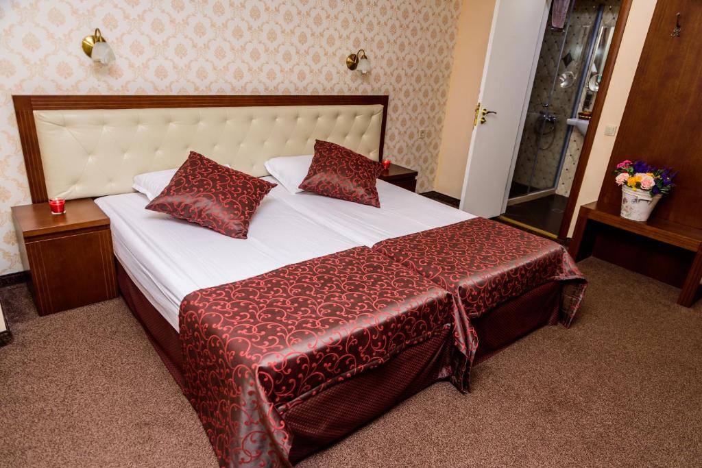 Двухместный (Двухместный номер с 1 кроватью или 2 отдельными кроватями без балкона) отеля Hotel Medicus SPA & Balneo, Выршец