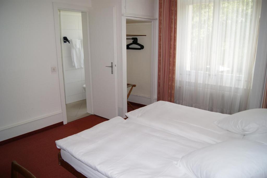 Двухместный (Бюджетный двухместный номер с 1 кроватью или 2 отдельными кроватями) отеля Hotel De La Paix with garden, Интерлакен