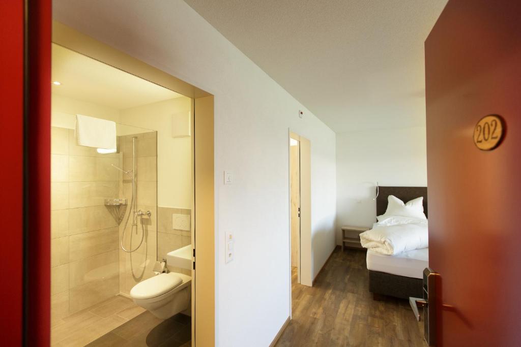 Двухместный (Двухместный номер с 1 кроватью и собственной ванной комнатой) отеля Berghotel Schonhalden, Флумзерберг