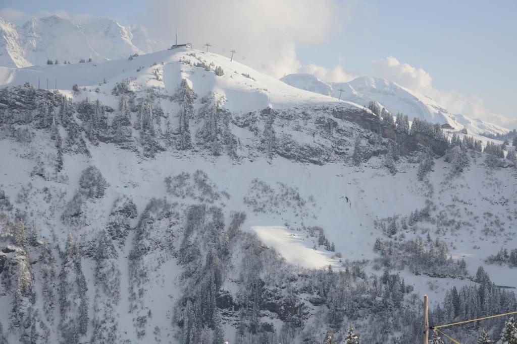 Номер (Шале), Chalet La Folie