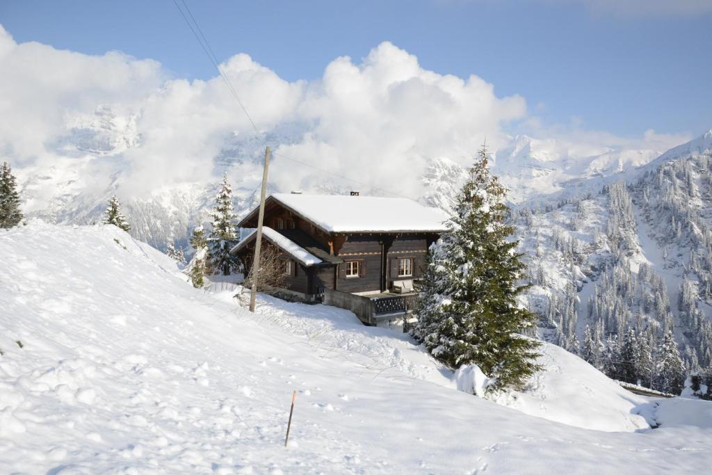 Номер (Шале), Chalet La Folie