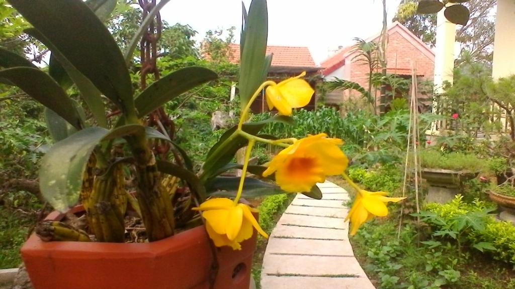 Двухместный (Улучшенное двухместное бунгало Делюкс с 1 кроватью или 2 отдельными кроватями и видом на сад) семейного отеля An Phu Homestay, Ниньбинь